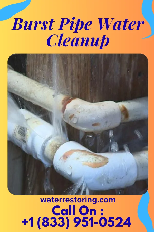 Burst Pipe Water Cleanup in West Chester, PA