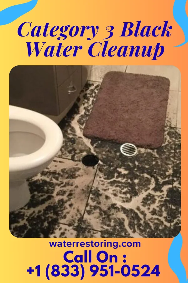Category 3 Black Water Cleanup in West Chester, PA