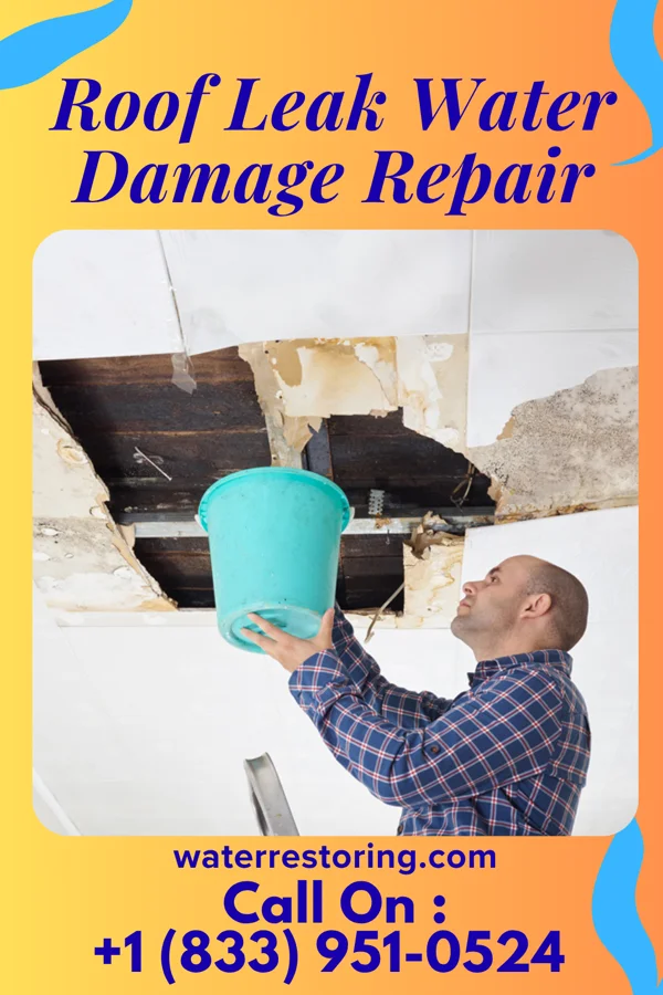 Roof Leak Water Damage Repair in West Chester, PA