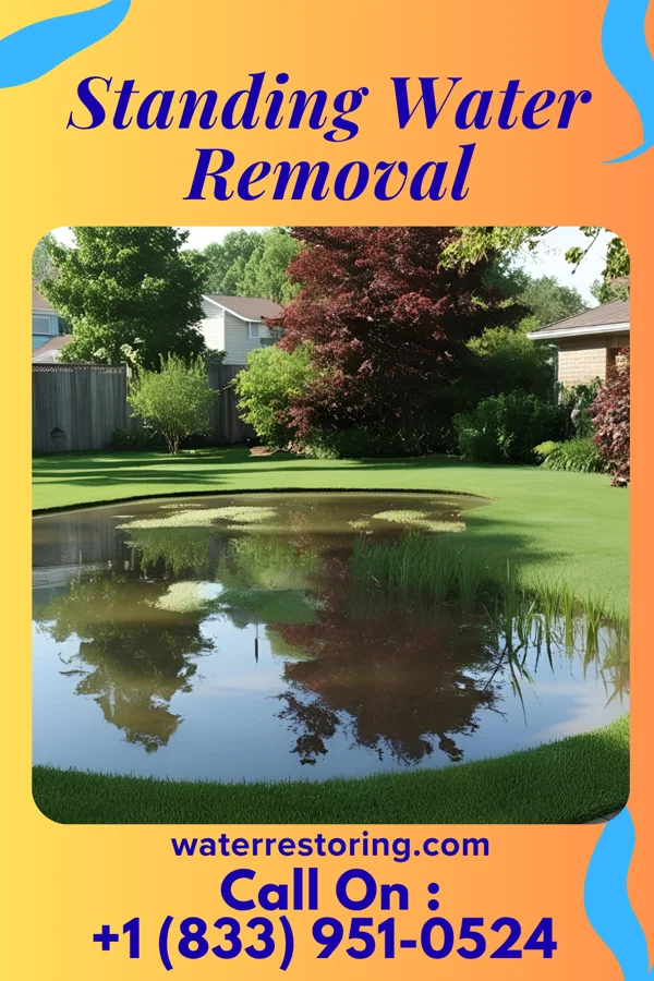 Standing Water Removal in West Chester, PA